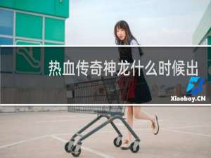 热血传奇神龙什么时候出