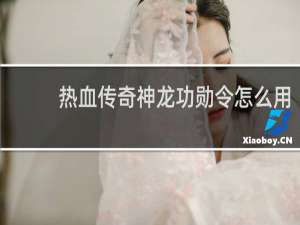 热血传奇神龙功勋令怎么用