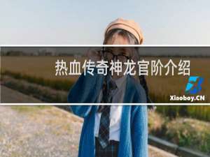 热血传奇神龙官阶介绍