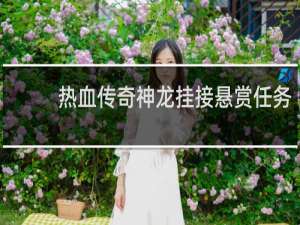 热血传奇神龙挂接悬赏任务