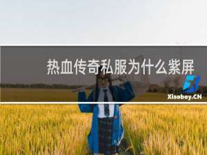 热血传奇私服为什么紫屏