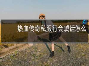 热血传奇私服行会喊话怎么