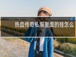 热血传奇私服里面的挂怎么