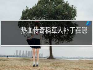 热血传奇稻草人补丁在哪