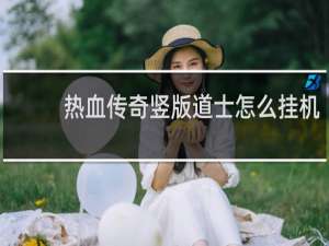 热血传奇竖版道士怎么挂机