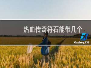 热血传奇符石能带几个