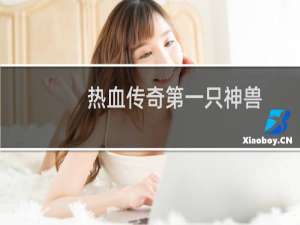 热血传奇第一只神兽