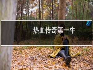 热血传奇第一牛
