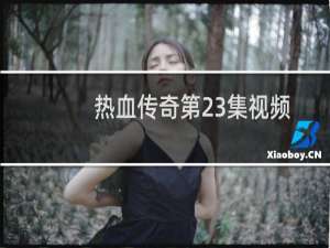 热血传奇第23集视频
