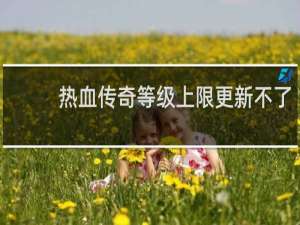 热血传奇等级上限更新不了