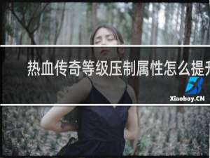 热血传奇等级压制属性怎么提升