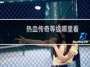 热血传奇等级哪里看