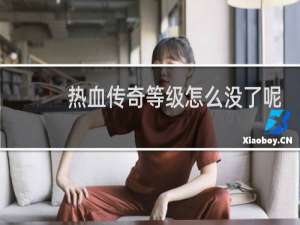 热血传奇等级怎么没了呢
