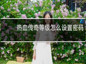 热血传奇等级怎么设置密码