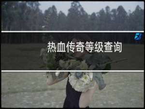 热血传奇等级查询