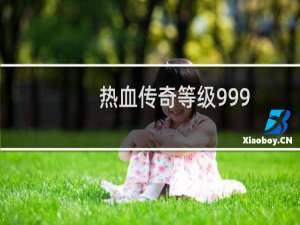 热血传奇等级999