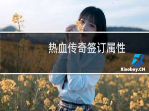 热血传奇签订属性