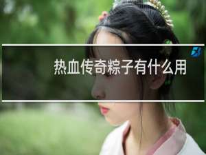 热血传奇粽子有什么用