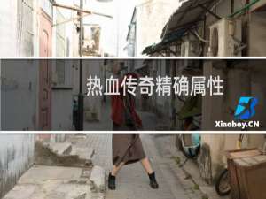 热血传奇精确属性