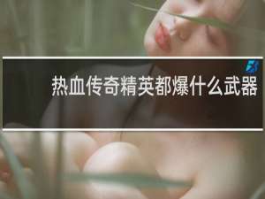 热血传奇精英都爆什么武器