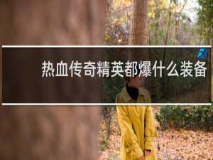 热血传奇精英都爆什么装备