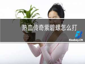 热血传奇紫碧螺怎么打