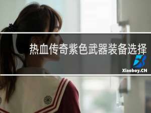 热血传奇紫色武器装备选择