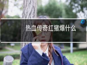 热血传奇红猪爆什么