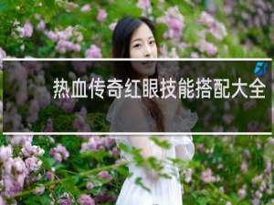 热血传奇红眼技能搭配大全