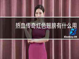 热血传奇红色翅膀有什么用