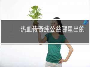 热血传奇纯公益哪里出的