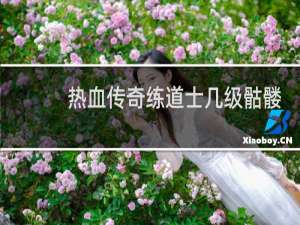 热血传奇练道士几级骷髅