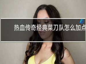 热血传奇经典菜刀队怎么加点