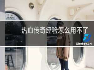 热血传奇经验怎么用不了