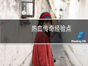 热血传奇经验点