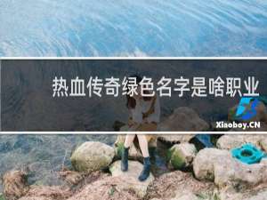 热血传奇绿色名字是啥职业