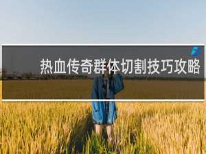 热血传奇群体切割技巧攻略