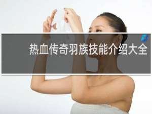 热血传奇羽族技能介绍大全