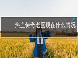 热血传奇老区现在什么情况