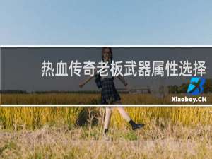 热血传奇老板武器属性选择