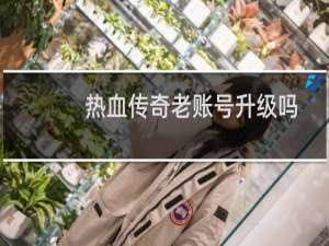 热血传奇老账号升级吗