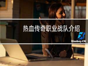 热血传奇职业战队介绍