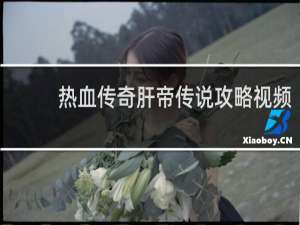 热血传奇肝帝传说攻略视频