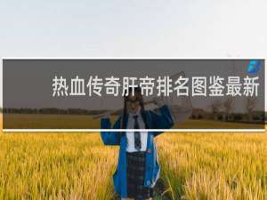 热血传奇肝帝排名图鉴最新