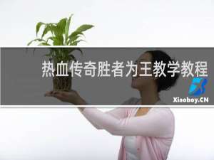 热血传奇胜者为王教学教程