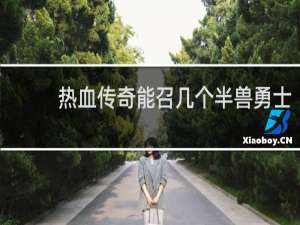 热血传奇能召几个半兽勇士