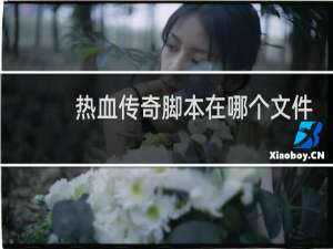 热血传奇脚本在哪个文件