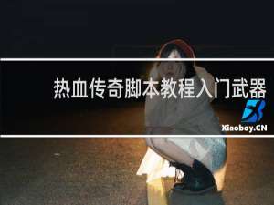 热血传奇脚本教程入门武器