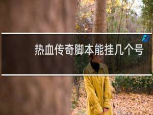 热血传奇脚本能挂几个号