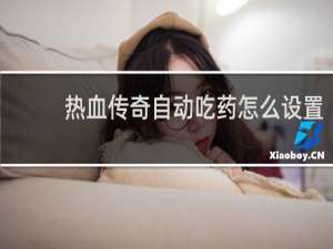 热血传奇自动吃药怎么设置